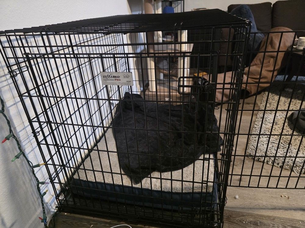 XL Dog Crate