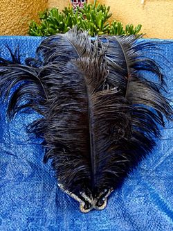 Halloween  head piece