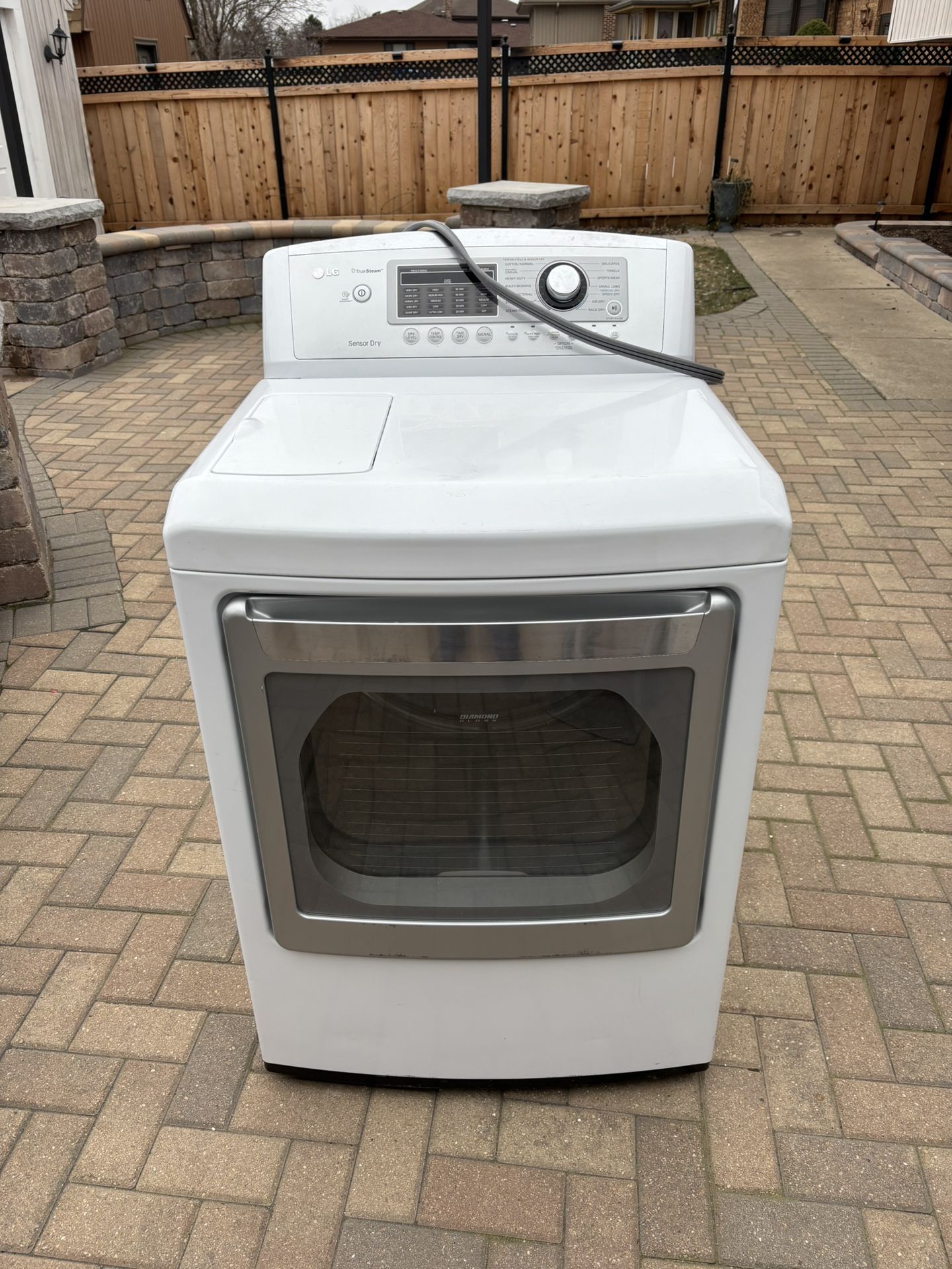 LG Electric Dryer 