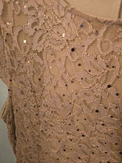 Elegant Champagne Lace Evening Dress – XL – Soft Sparkle Formal Gown
