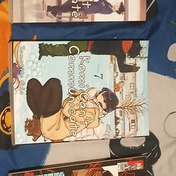 Manga lot