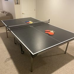 Ping Pong Table 