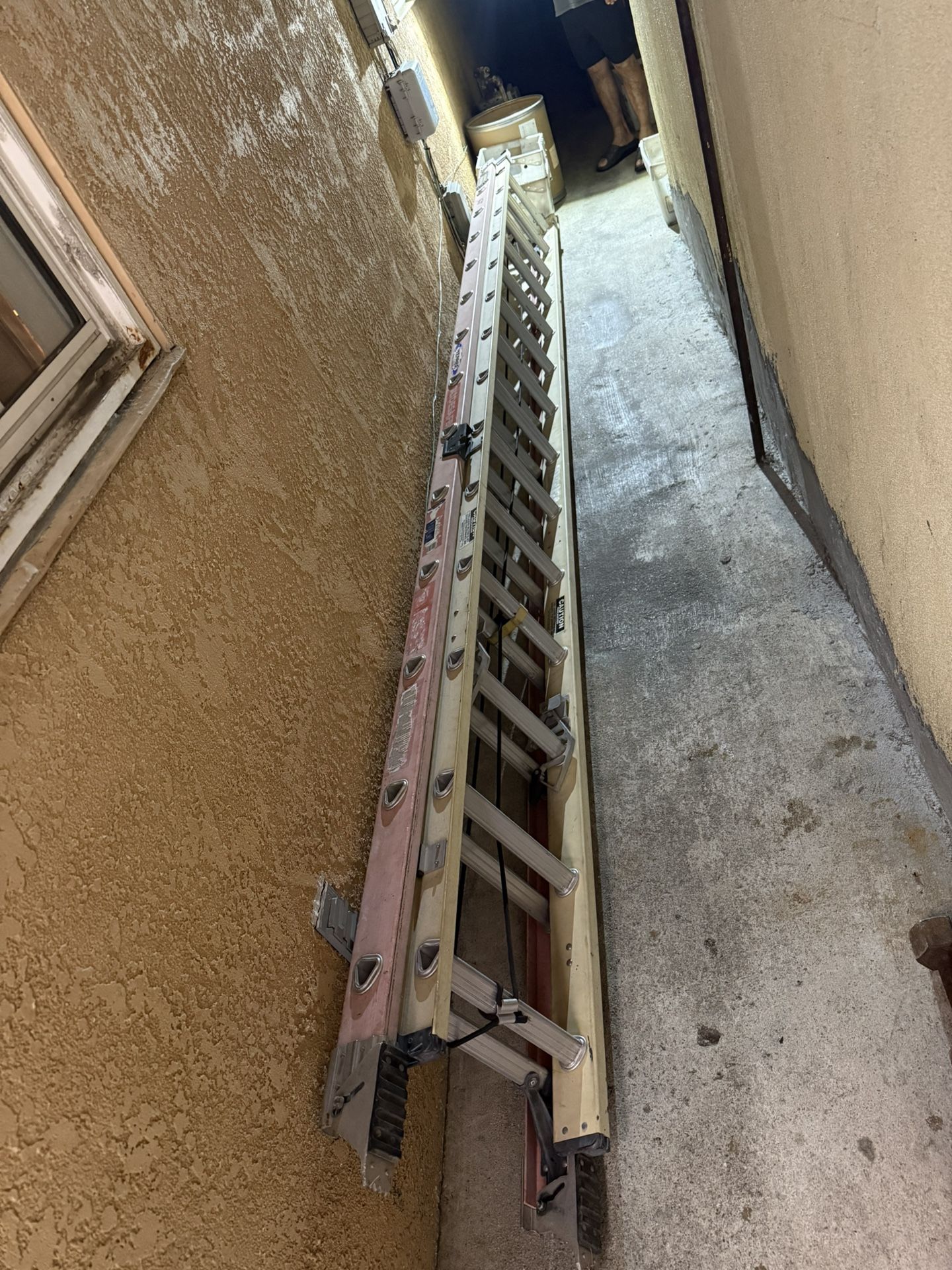 Werner Ladder