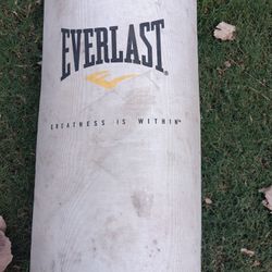Everlast Boxing Bag