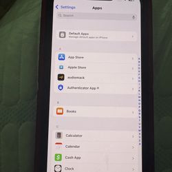 iPhone 13 