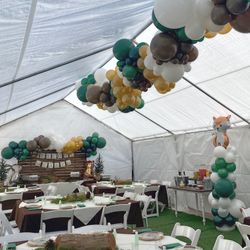 Balloon Garland