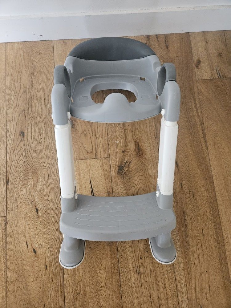 Todler Potty Seat 