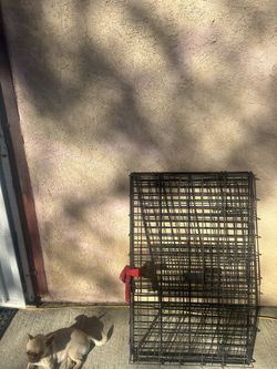 Dog Cage Or Any Animal Use Good Conditions.