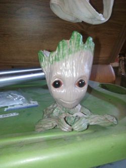 Plant or flower pot from the top of head