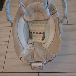 Ingenuity Baby Bouncer