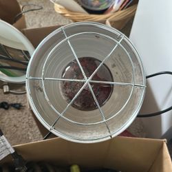 Heat Lamp For Chicks.