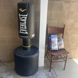 Everlast Punching Bag With Two Gloves