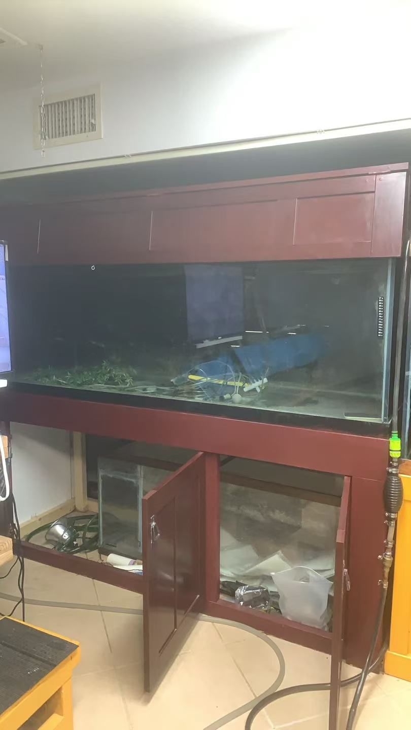 180 Gallon Fish Tank