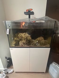 Red Sea 300 XL G2