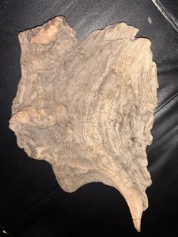  Petrified Wood From The Beach 