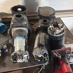 Pool Pumps 