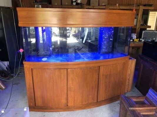 155g Bow Front Reef Ready Aquarium 