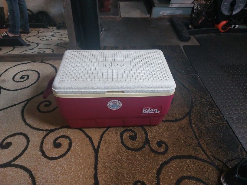 Igloo Cooler