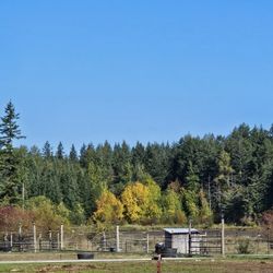 Vacation Horse Boarding 
