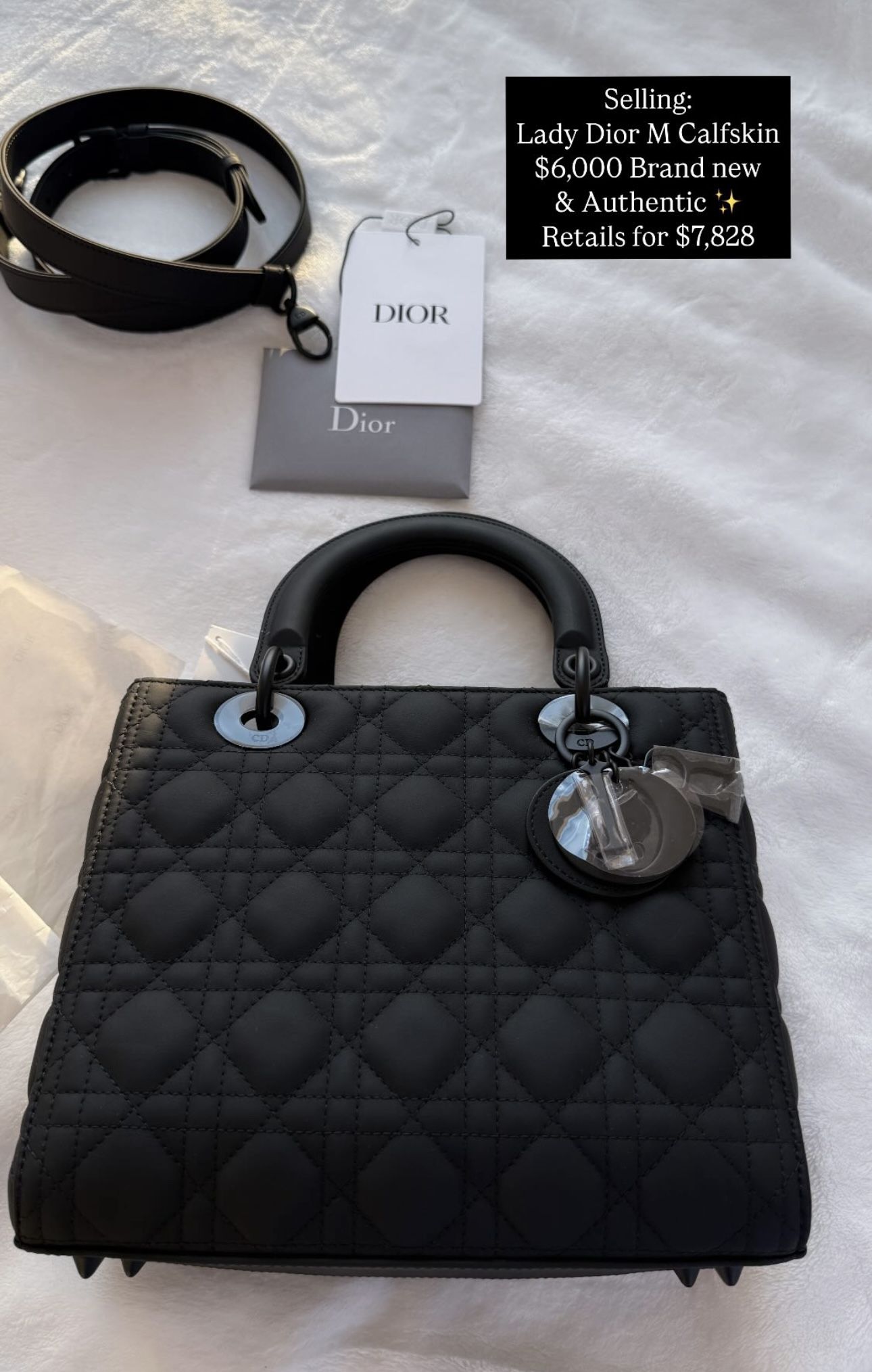 Dior Hand Bag