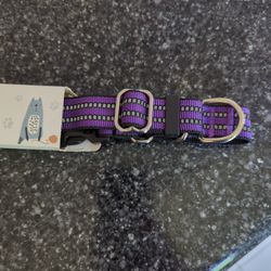 Purple Medium Dog Collar 