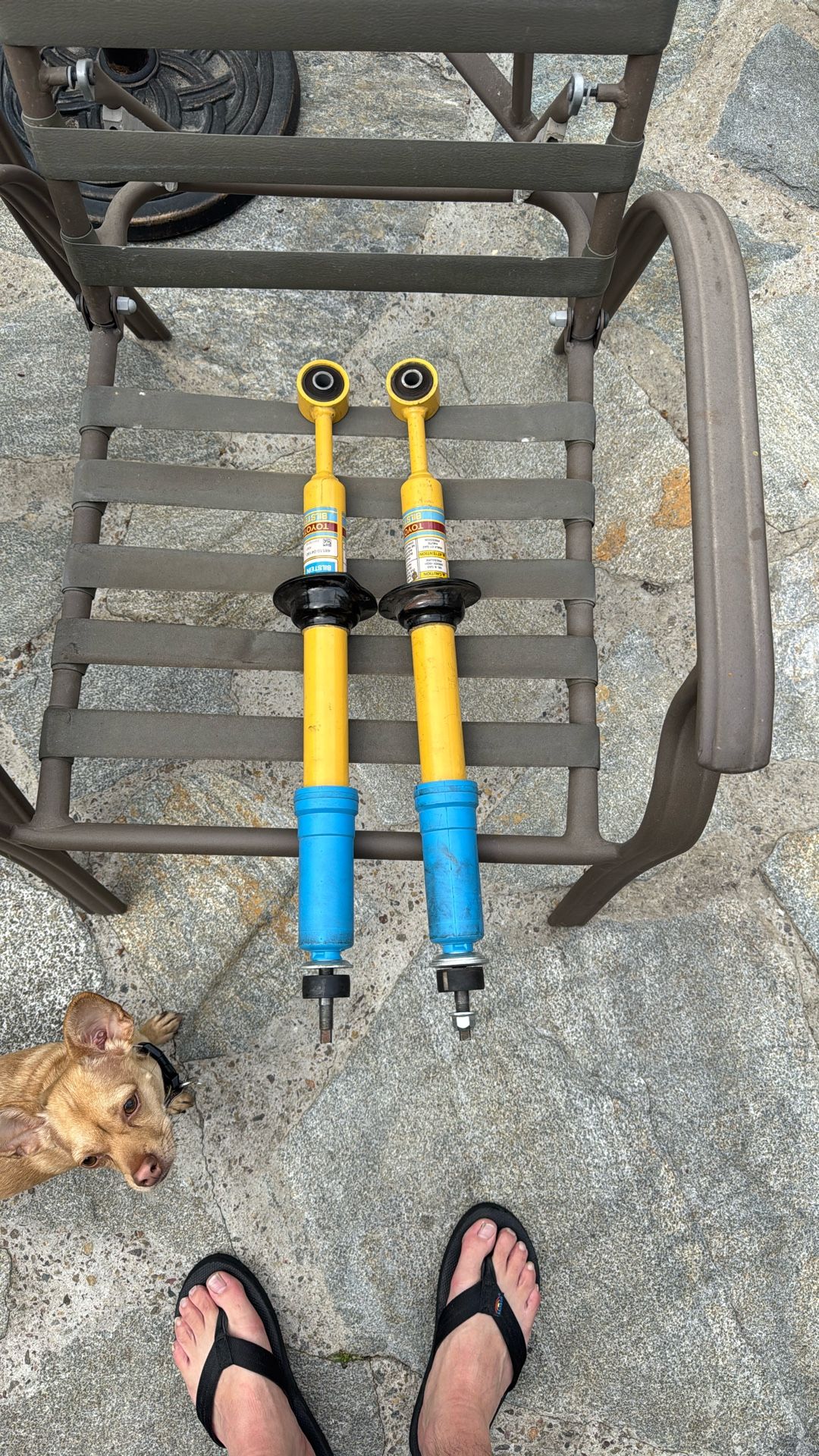 Toyota Bilstein Shocks