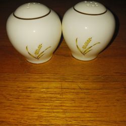 Beautiful Vintage Shaker Set