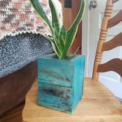 Hand Made Wooden Planter And Snake Plant