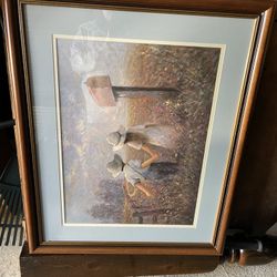 Pictures