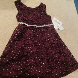 Brand New Upscale Toddler Party Dress With Tags 