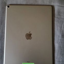 Gold IPad Pro 12.9 (2nd Gen) 64gb
