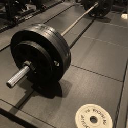 Rogue Fitness Deadlift Platform 