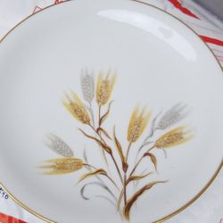 ANTIQUE JAPAN China SET service for 12 dinnerware Complete