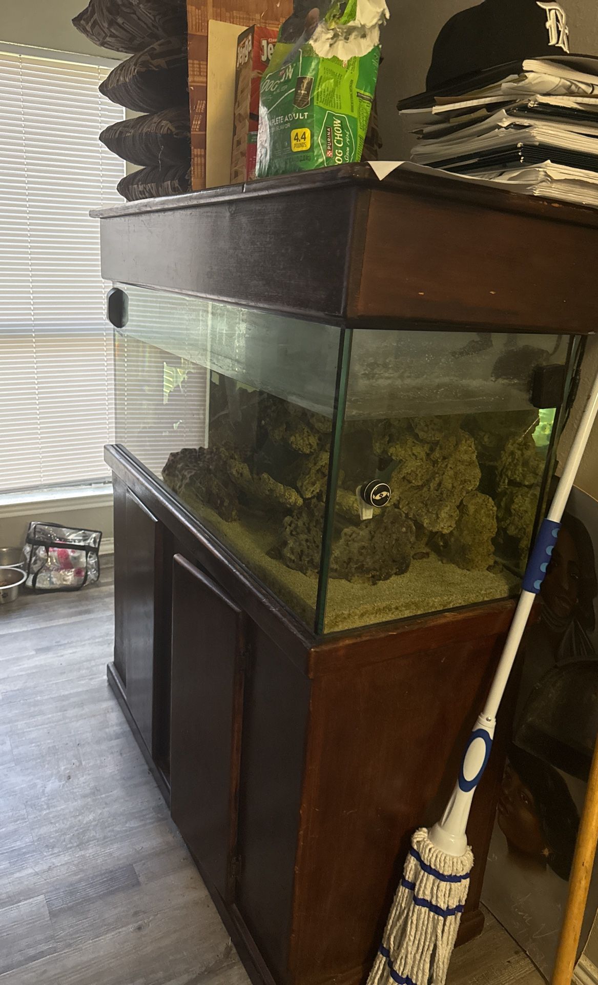 Saltwater set up nothing over two years old