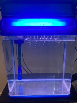 Fish tank