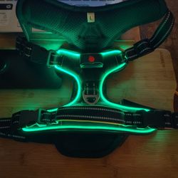 LED Dog Collar 
