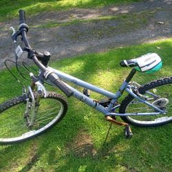Realm Province cycle 1.0 women's mountain bike. This unit is in good condition and works great.