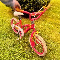 5-8 Year Old Girl Bicycle