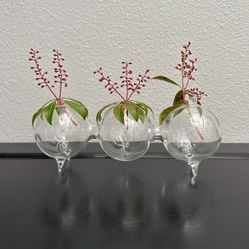 Delicate Glass Vase 