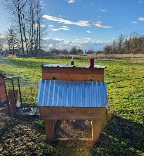 Chicken 🐔 House
