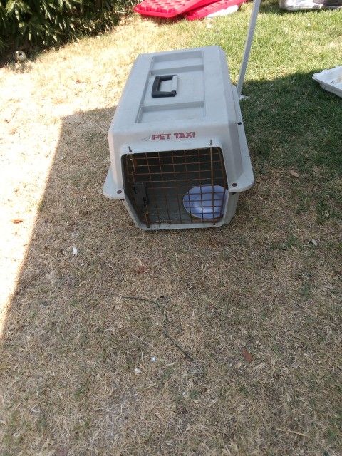 Pet Taxi