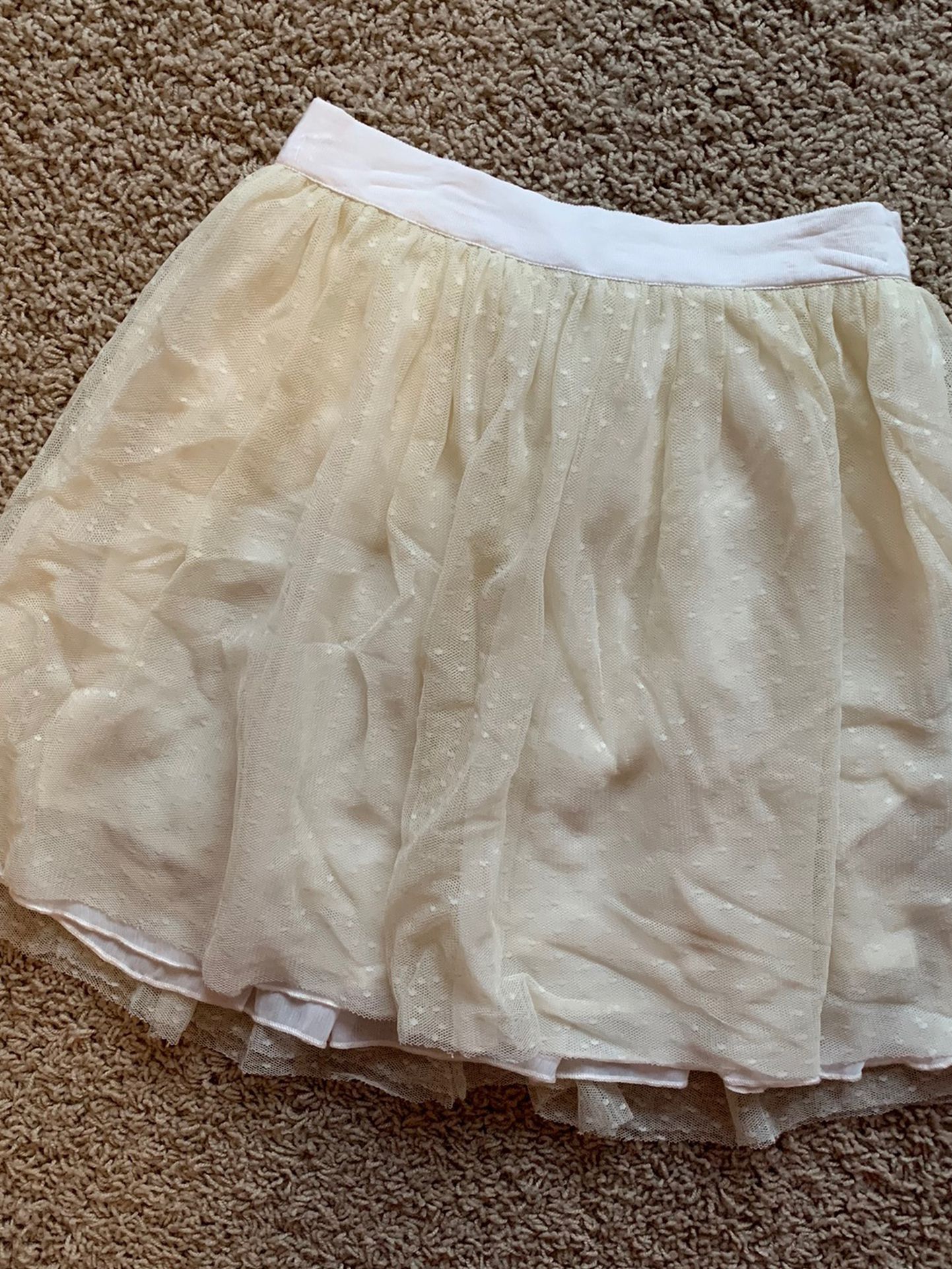 Abercrombie Tulle Skirt