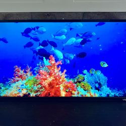 32 Inch Vizio Smart TV 