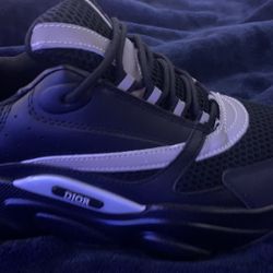Dior B22 Sneakers *LOOKING FOR OFFERS*