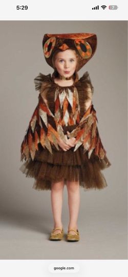 Girls Owl Halloween Costume with Hat