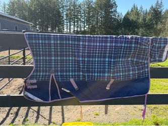 Horse Blankets