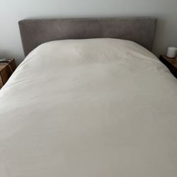West Elm Velvet headboard 