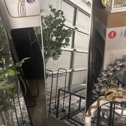 Aluminum Frame Mirror 55x15 