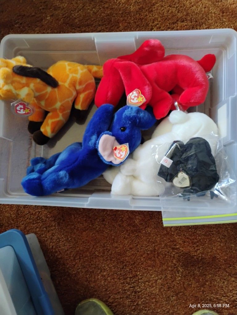 Ty Beanie Babies Collection