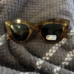 Sunglass Fun Shape Polarized 